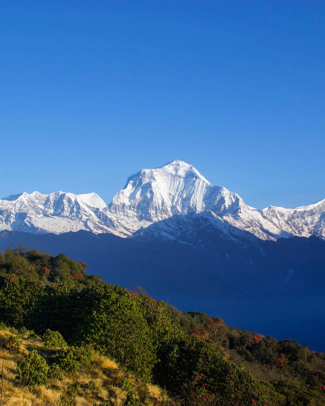Dhaulagiri Base Camp Trek