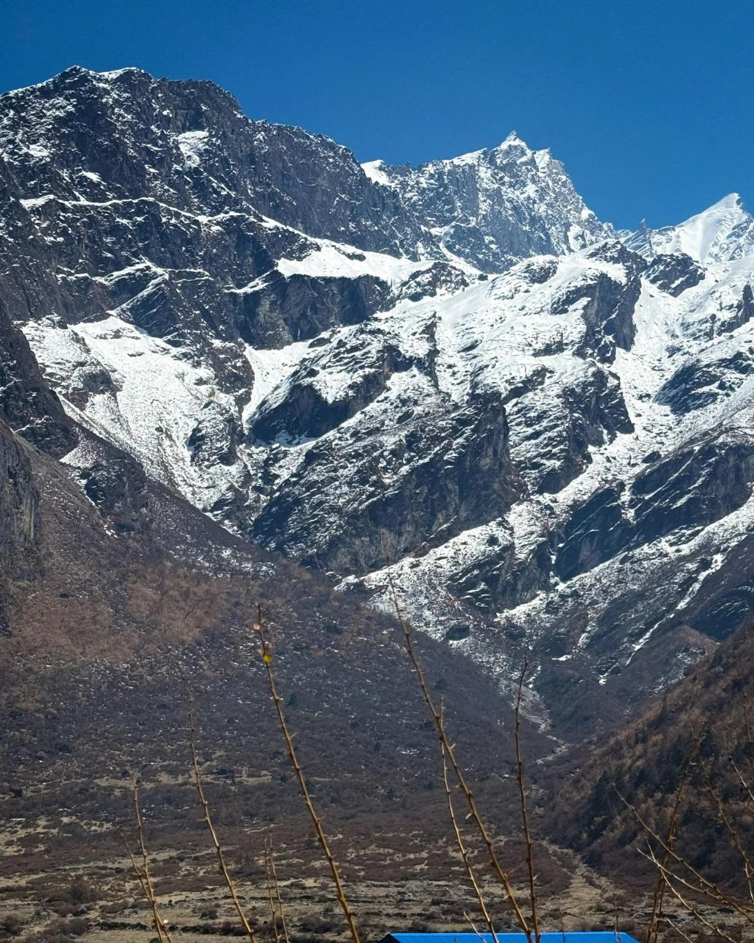 Langtang Gosaikunda Trek -11 Days Image 2