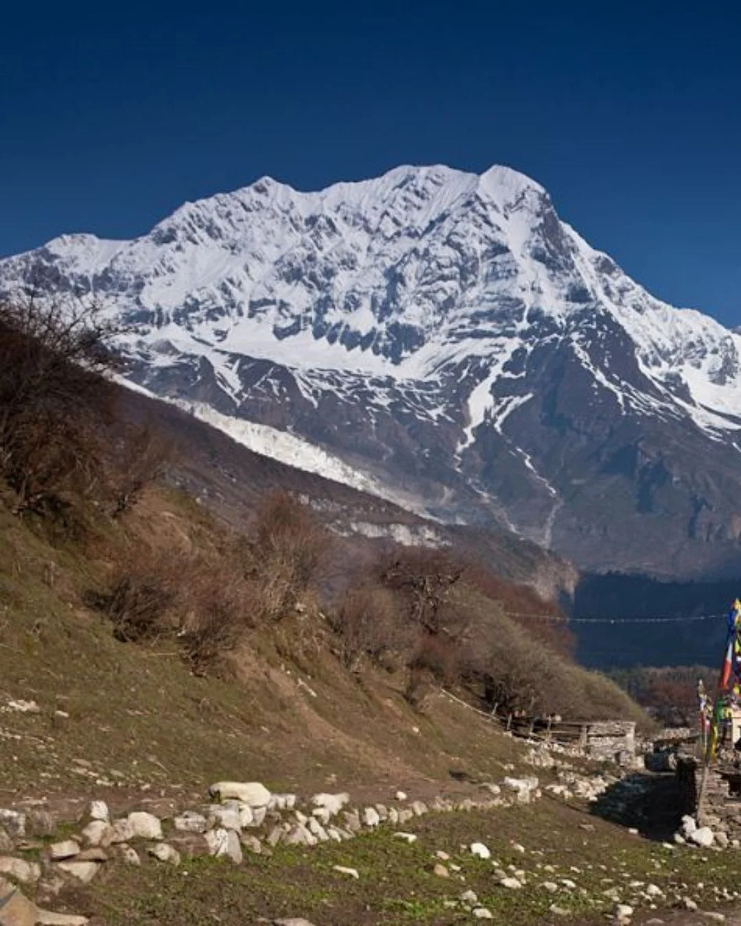 Manaslu circuit with Tsum Valley trek: 18 days Image 3