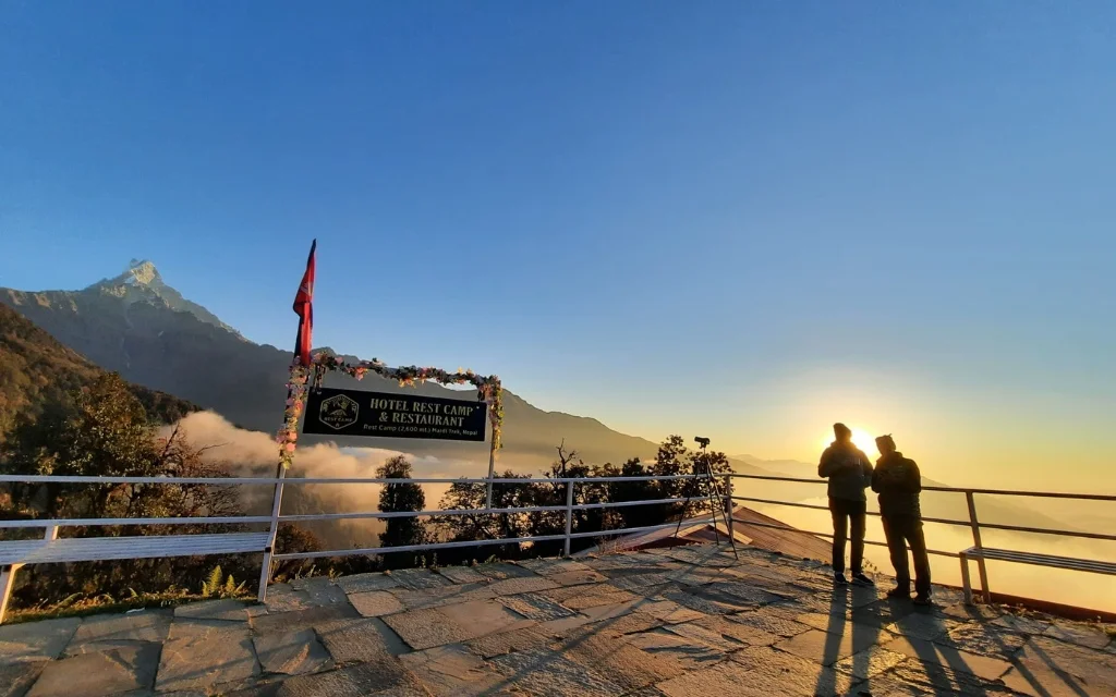 view point mardi