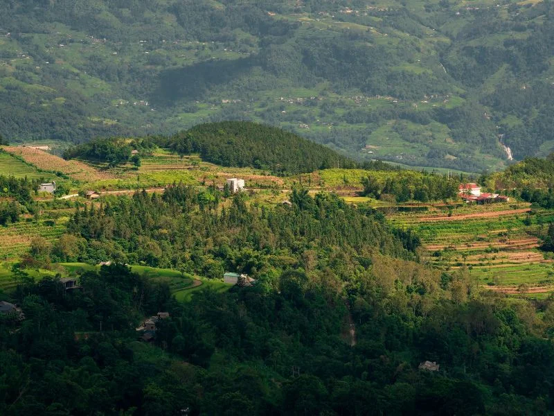 Nagarkot Changunarayan Day Hike: 1 Day Image 2